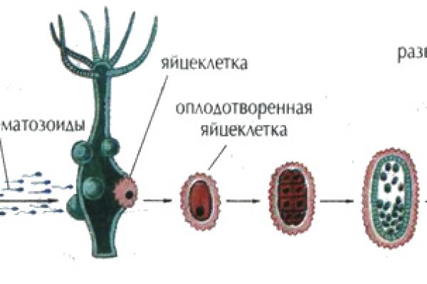 Ссылка кракена kraken clear com