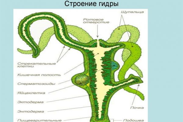 Вход в кракен